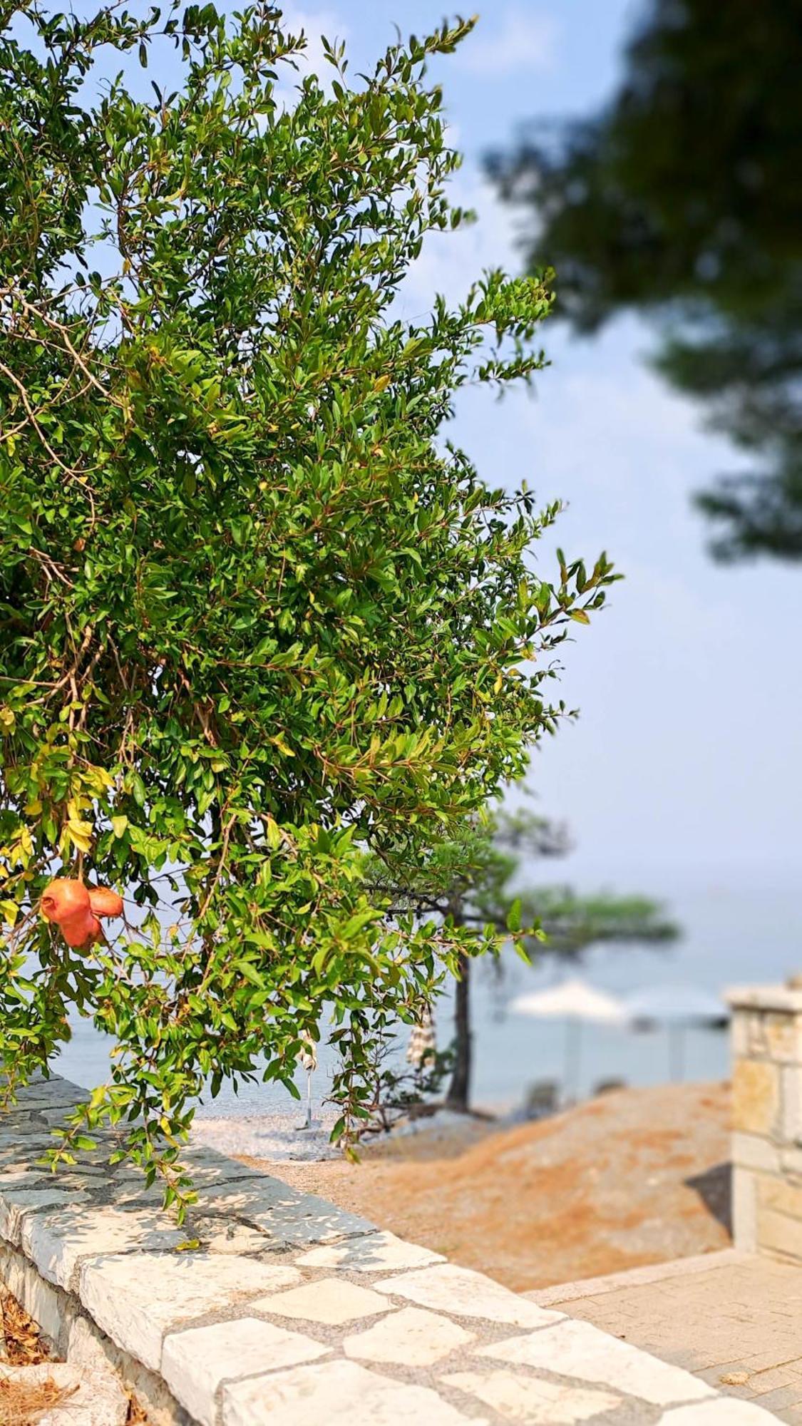 Nama Beach House Arkadiko Chorio Extérieur photo